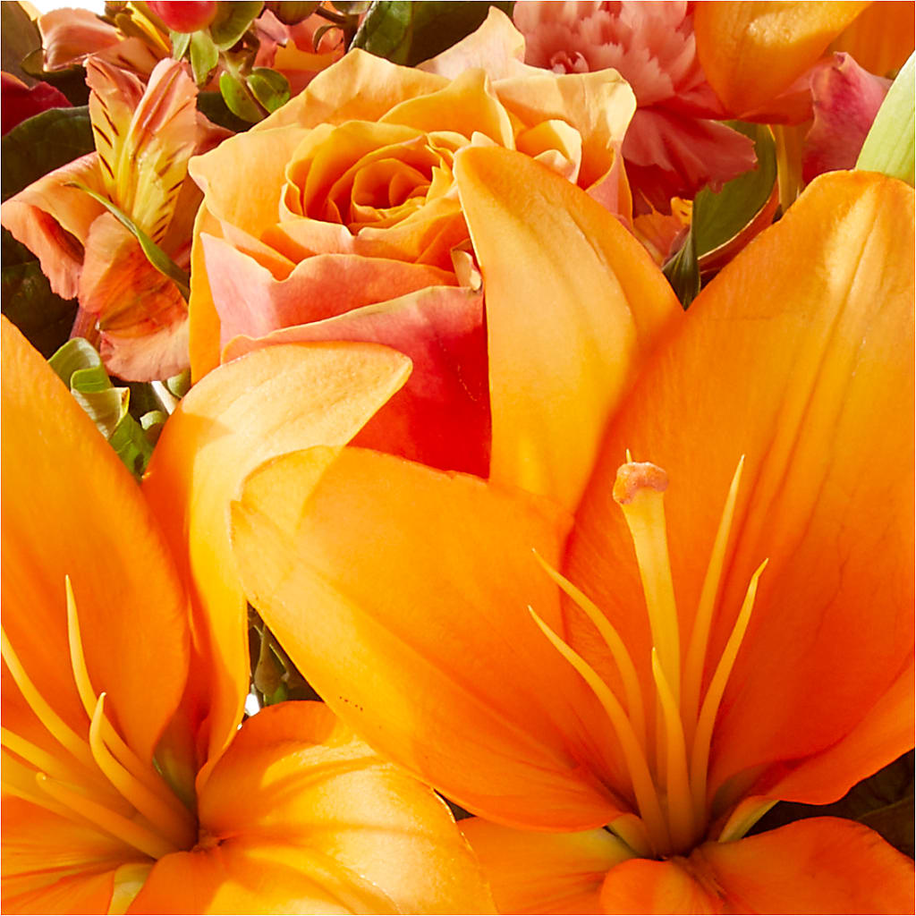 Afternoon Light Bouquet – TIM'S TREEHOUSE NURSERY & FLORAL, Sutherlin OR