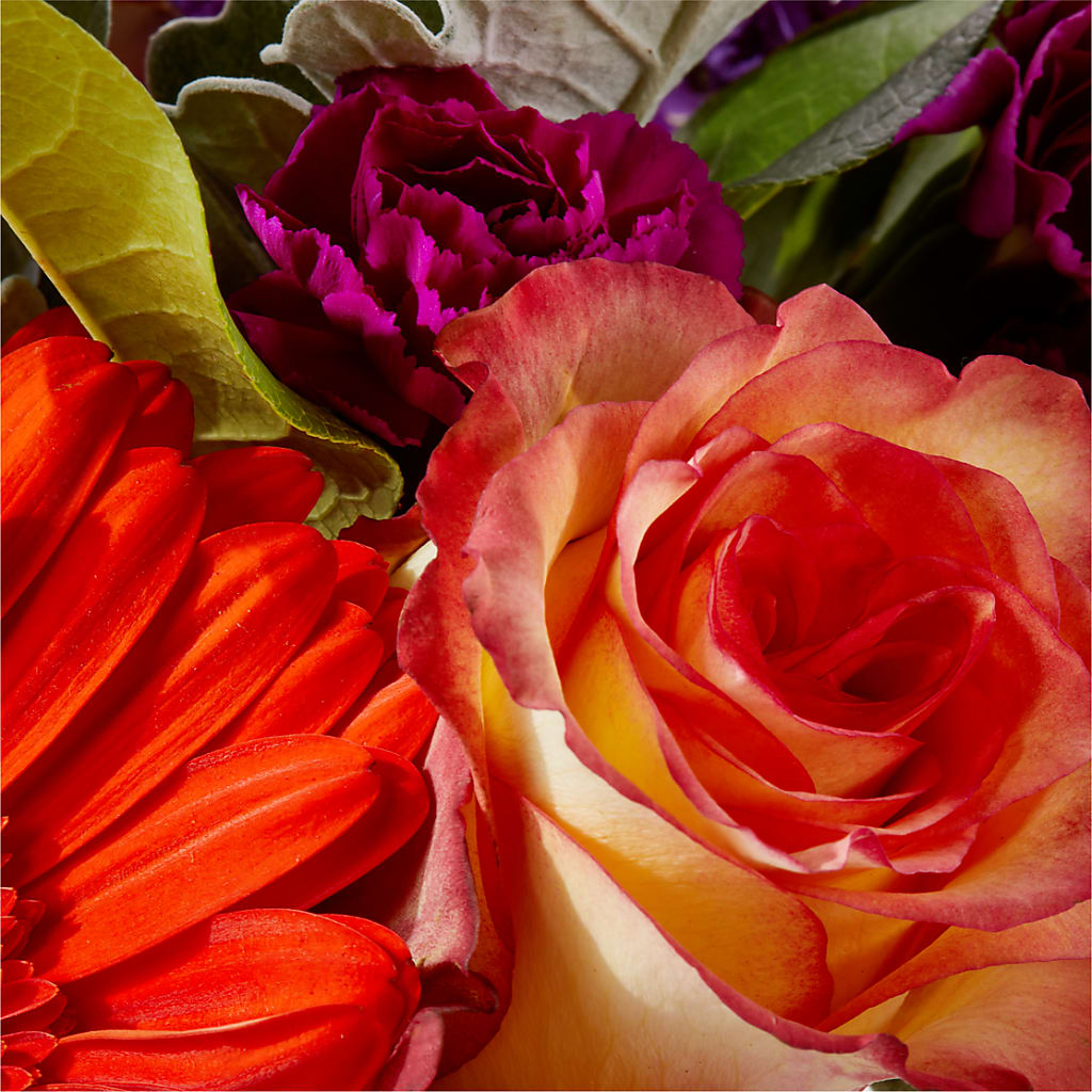 Sangria Bouquet – TIM'S TREEHOUSE NURSERY & FLORAL, Sutherlin OR