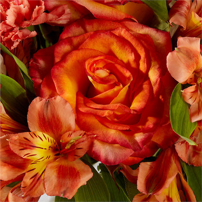 Apricot Glow Bouquet – TIM'S TREEHOUSE NURSERY & FLORAL, Sutherlin OR