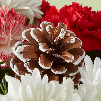 Candy Cane Lane Bouquet – TIM'S TREEHOUSE NURSERY & FLORAL, Sutherlin OR