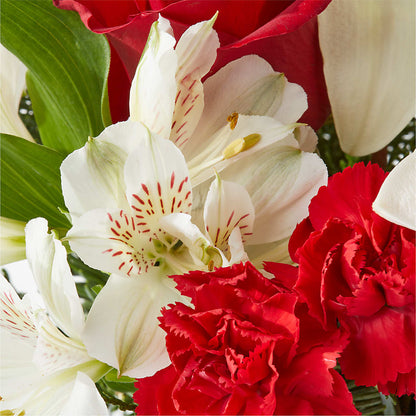 Holiday Season Bouquet – TIM'S TREEHOUSE NURSERY & FLORAL, Sutherlin OR