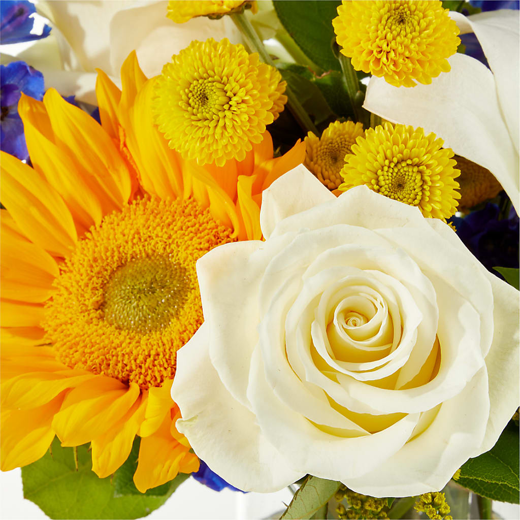 Stargazing Bouquet – TIM'S TREEHOUSE NURSERY & FLORAL, Sutherlin OR