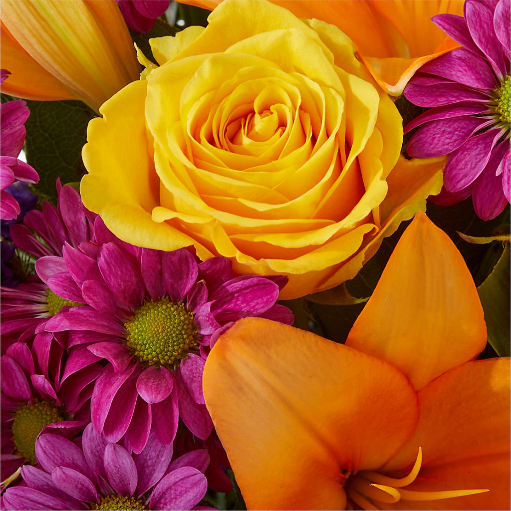 Colorful Visions Bouquet – TIM'S TREEHOUSE NURSERY & FLORAL, Sutherlin OR