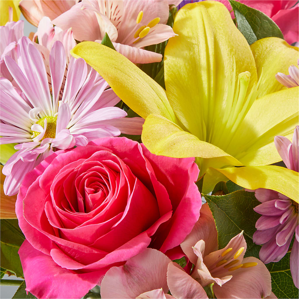 Sprinkles Bouquet – TIM'S TREEHOUSE NURSERY & FLORAL, Sutherlin OR