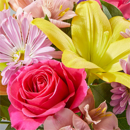 Sprinkles Bouquet – TIM'S TREEHOUSE NURSERY & FLORAL, Sutherlin OR
