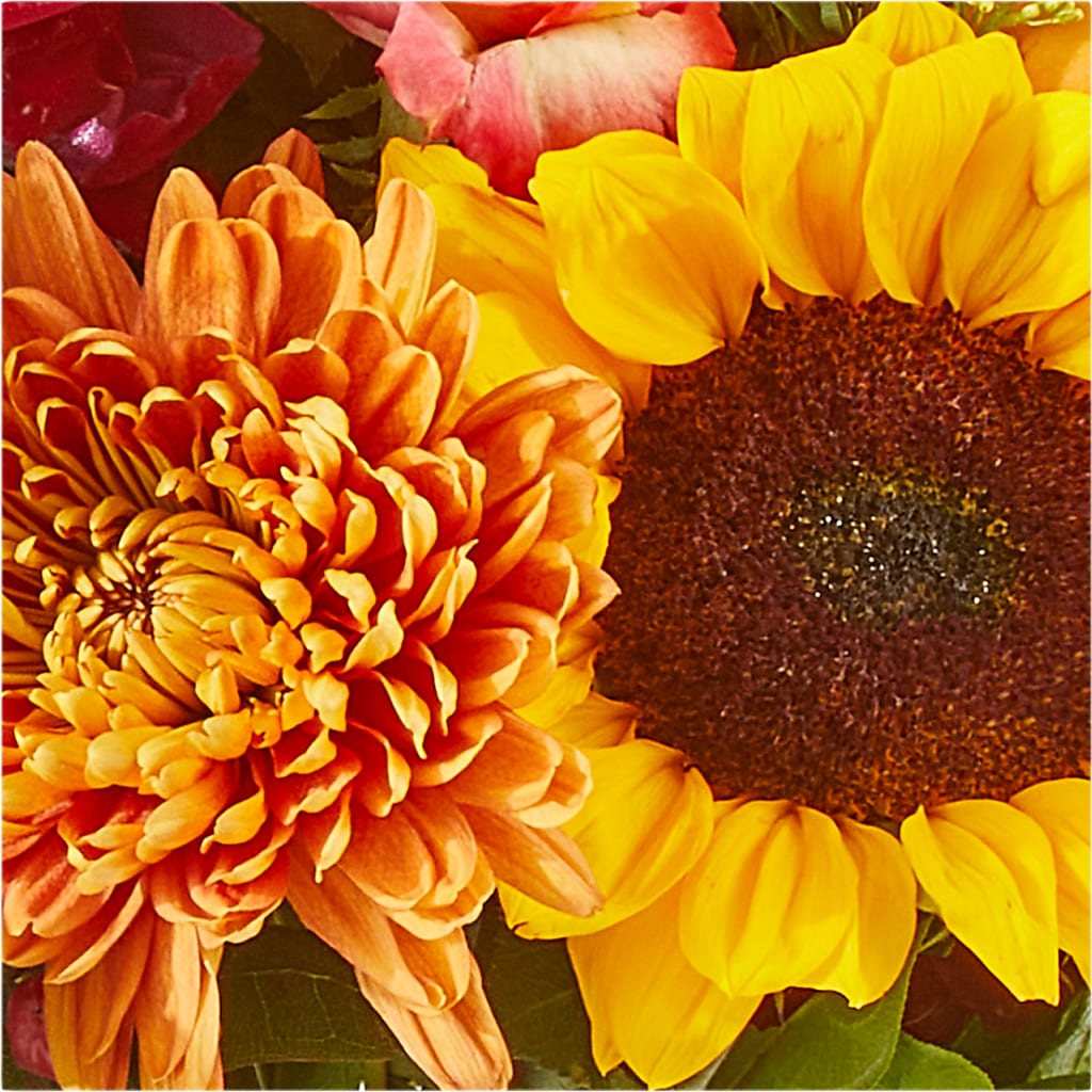 Seasons Change Bouquet – TIM'S TREEHOUSE NURSERY & FLORAL, Sutherlin OR