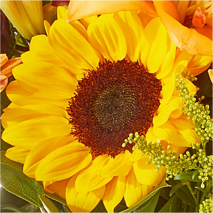 Seasons Change Bouquet – TIM'S TREEHOUSE NURSERY & FLORAL, Sutherlin OR