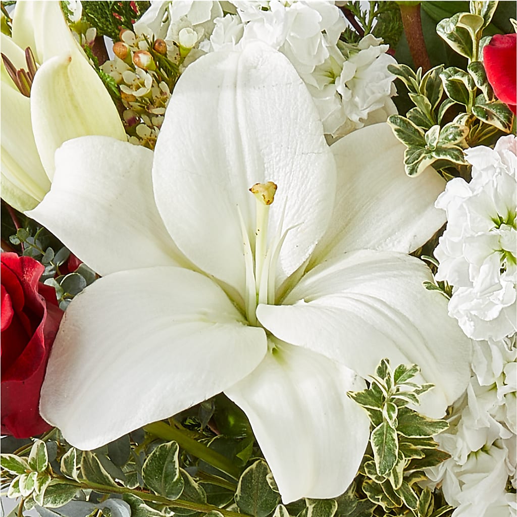 Twinkle Lights Bouquet – TIM'S TREEHOUSE NURSERY & FLORAL, Sutherlin OR