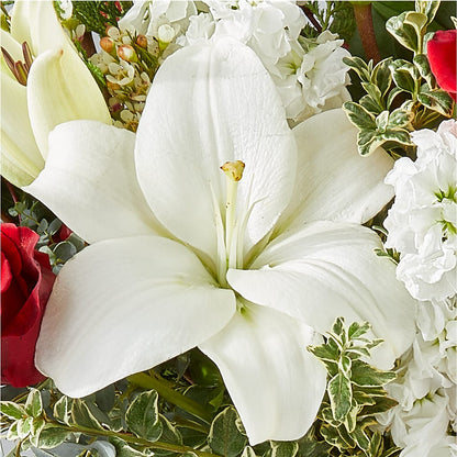 Twinkle Lights Bouquet – TIM'S TREEHOUSE NURSERY & FLORAL, Sutherlin OR