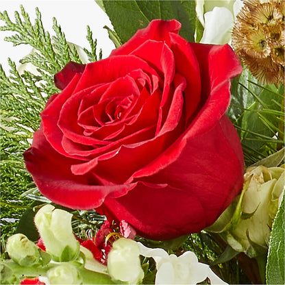 Deck the Halls Bouquet – TIM'S TREEHOUSE NURSERY & FLORAL, Sutherlin OR