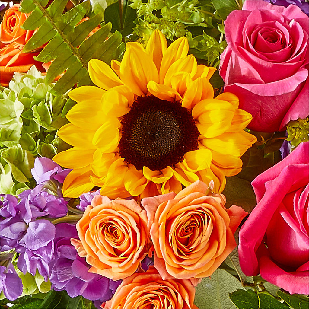 Vibrant Greetings Bouquet – TIM'S TREEHOUSE NURSERY & FLORAL, Sutherlin OR