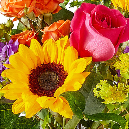 Vibrant Greetings Bouquet – TIM'S TREEHOUSE NURSERY & FLORAL, Sutherlin OR