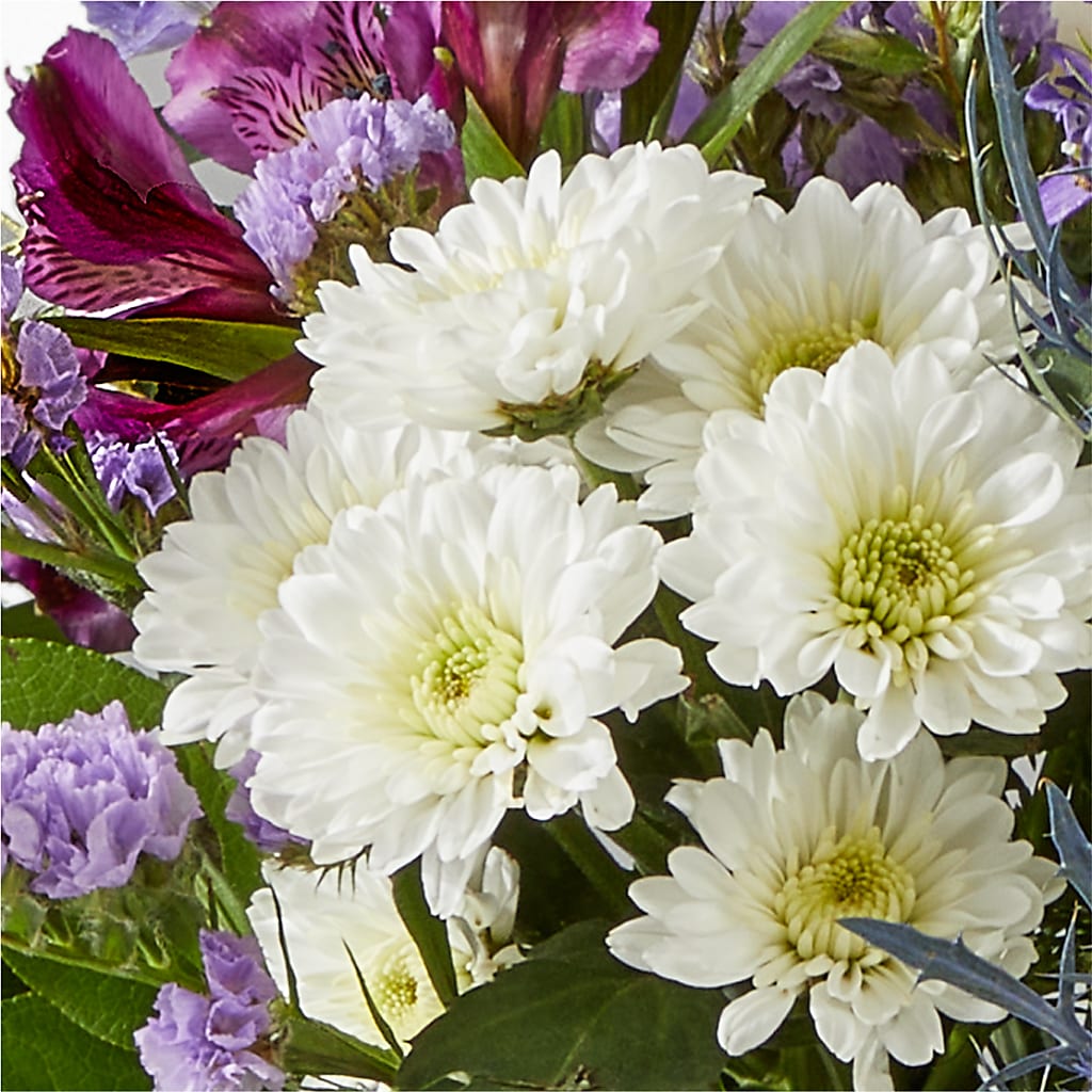Shooting Star Bouquet – TIM'S TREEHOUSE NURSERY & FLORAL, Sutherlin OR