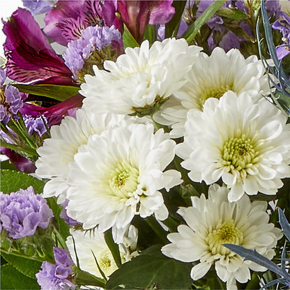 Shooting Star Bouquet – TIM'S TREEHOUSE NURSERY & FLORAL, Sutherlin OR