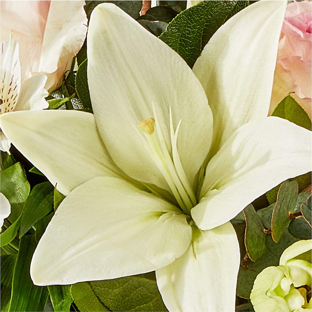 Ballet Slippers Bouquet – TIM'S TREEHOUSE NURSERY & FLORAL, Sutherlin OR
