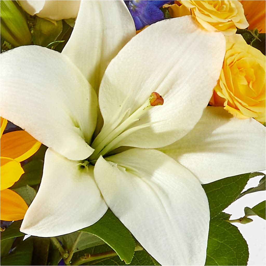 Wonderfully Sunny Bouquet – TIM'S TREEHOUSE NURSERY & FLORAL, Sutherlin OR
