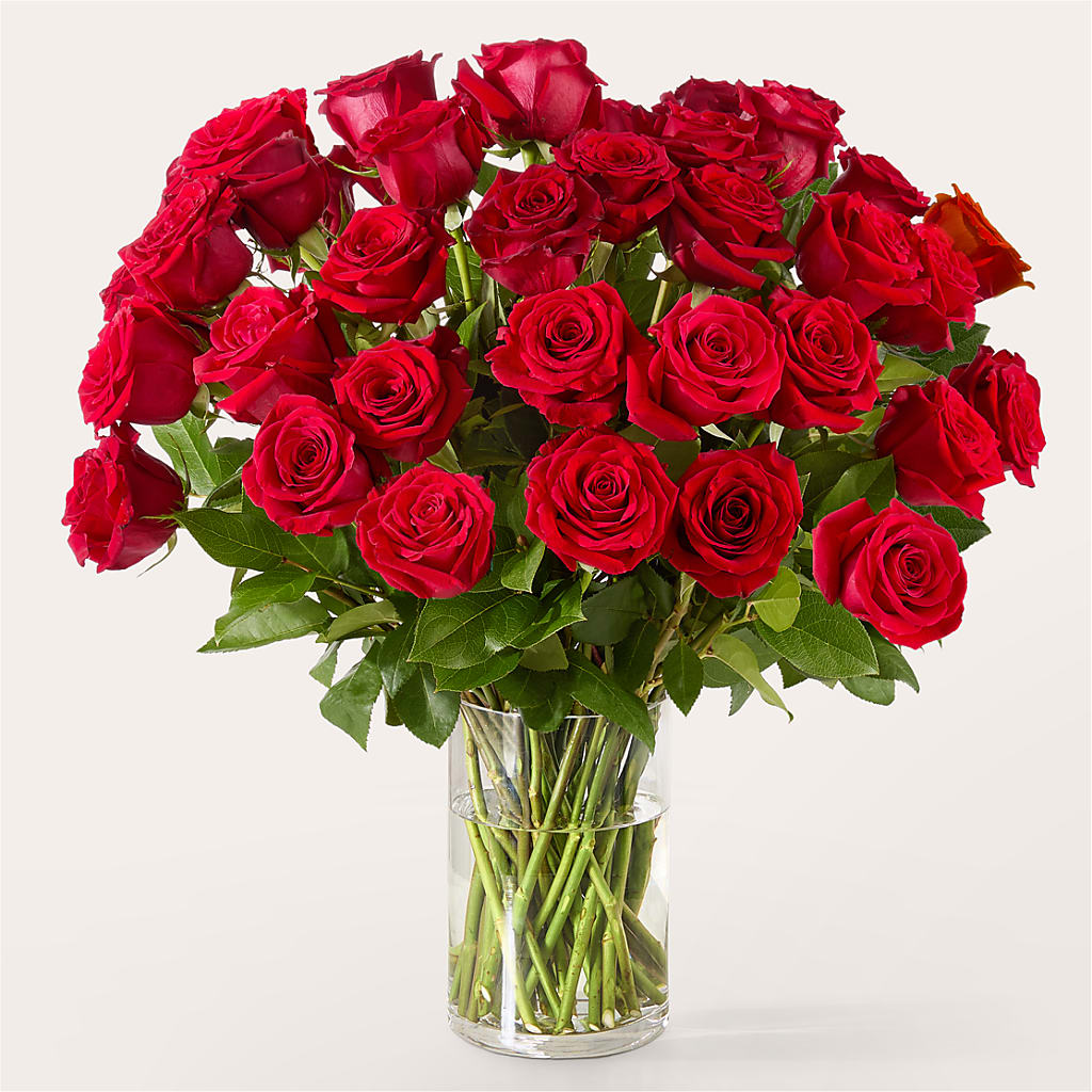 The One Red Rose Bouquet – TIM'S TREEHOUSE NURSERY & FLORAL, Sutherlin OR