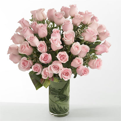 Pink Essence – TIM'S TREEHOUSE NURSERY & FLORAL, Sutherlin OR