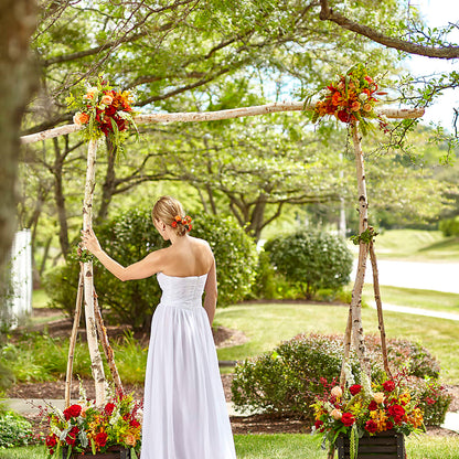 Arbor of Love Archway – TIM'S TREEHOUSE NURSERY & FLORAL, Sutherlin OR