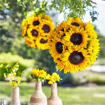 Sublime Garden Hanging Arrangement – TIM'S TREEHOUSE NURSERY & FLORAL, Sutherlin OR