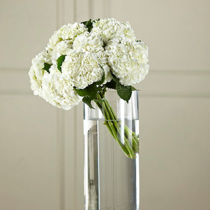 White Hydrangea Hand-Tied Bouquet – TIM'S TREEHOUSE NURSERY & FLORAL, Sutherlin OR
