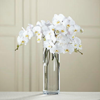 White Phalaenopsis Bouquet – TIM'S TREEHOUSE NURSERY & FLORAL, Sutherlin OR