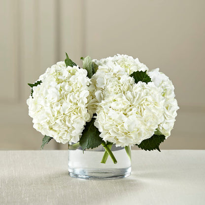 White Hydrangea Bouquet – TIM'S TREEHOUSE NURSERY & FLORAL, Sutherlin OR