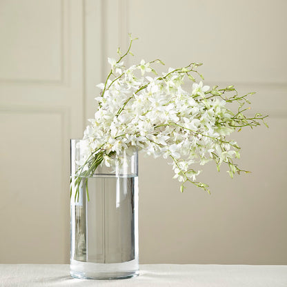 White Dendrobium Bouquet – TIM'S TREEHOUSE NURSERY & FLORAL, Sutherlin OR